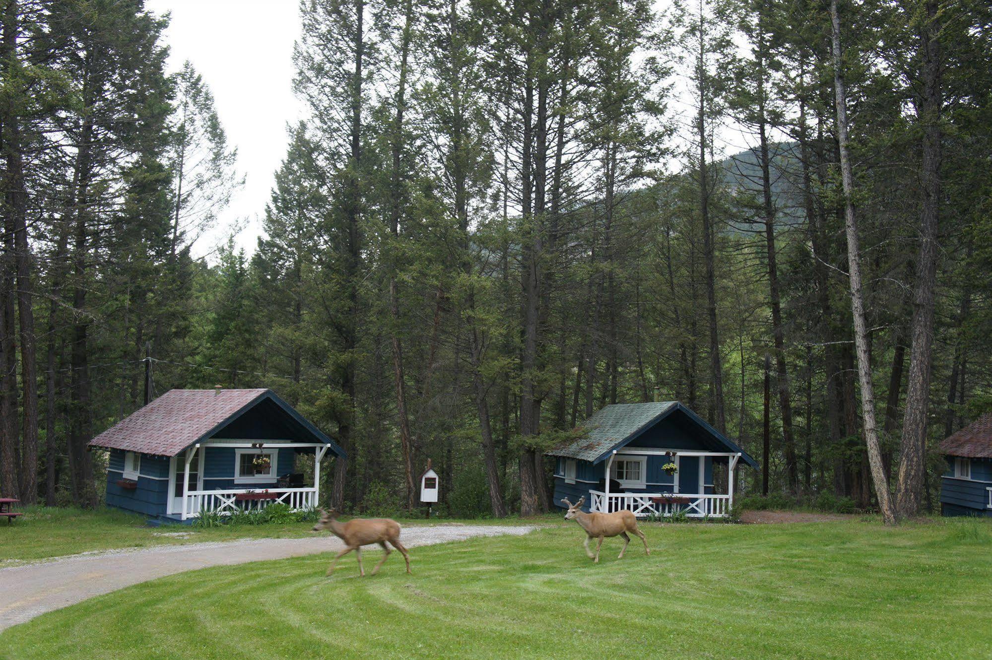 Fairmont Mountain Bungalows Fairmont Hot Springs Bagian luar foto